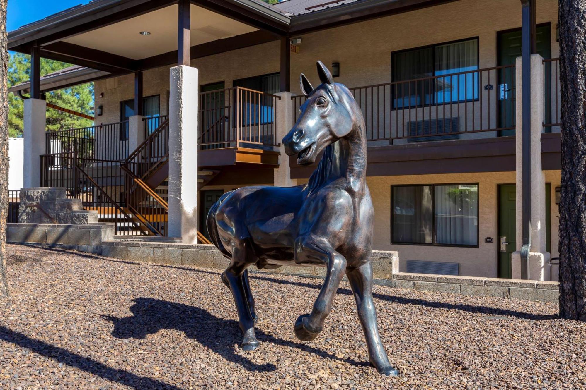 Best Western Paint Pony Lodge Show Low Eksteriør billede